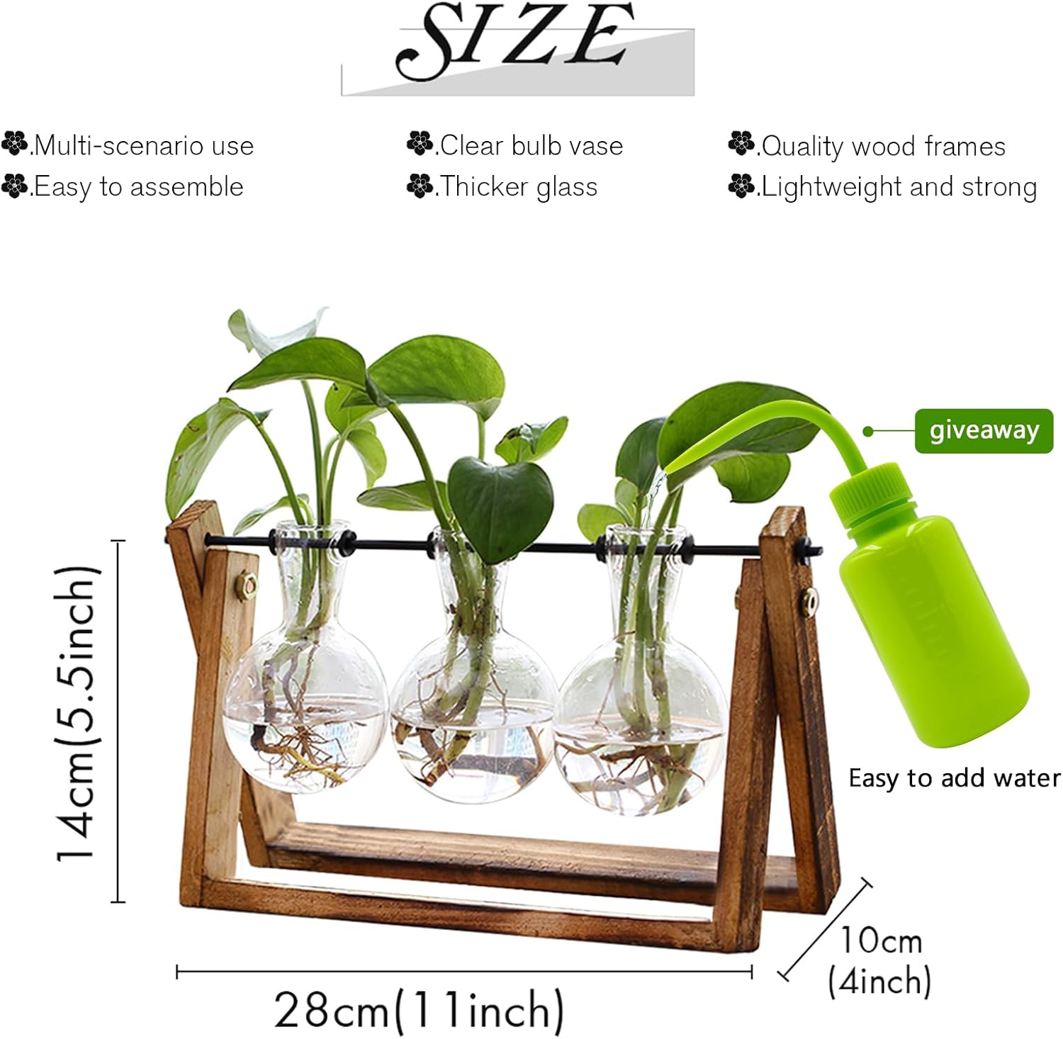 Plant Terrarium with Wooden Stand for Home Decor
