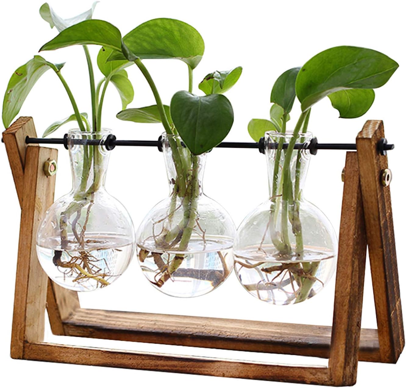 Plant Terrarium with Wooden Stand for Home Decor